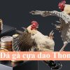 Đá gà cựa dao Thomo tại Hubet 3 phút thắng thua kịch tính